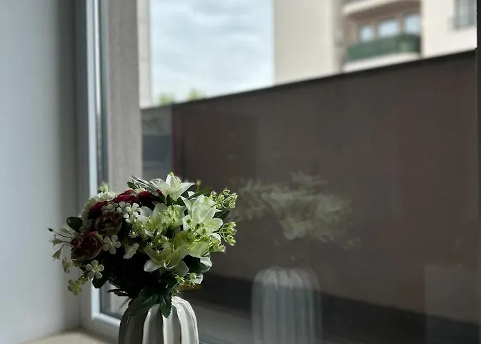 Summit ブカレスト